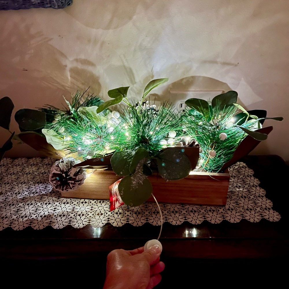 NEw HOLIDAY decorative botanical w/ LED lighting in wooden box